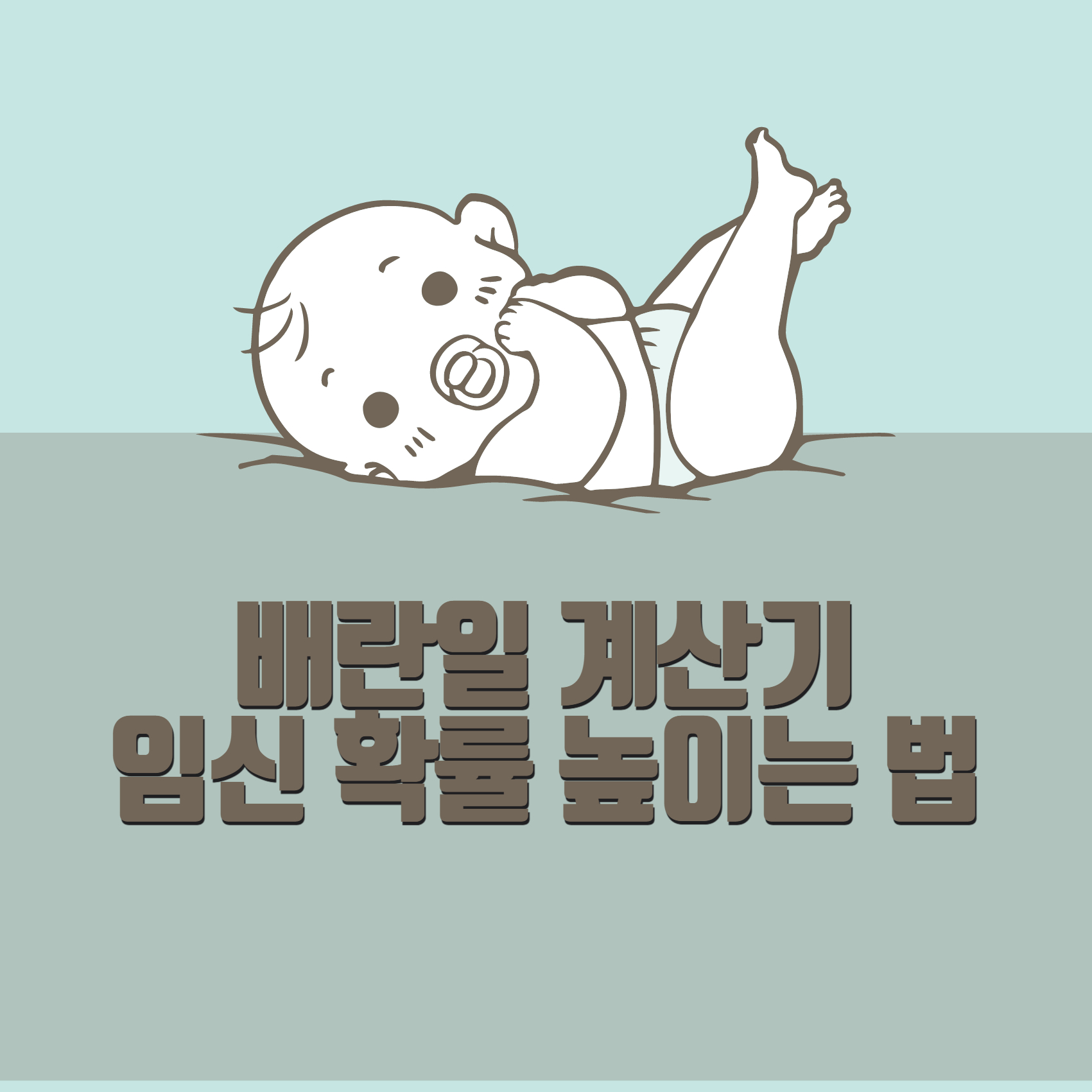 배란일 계산기