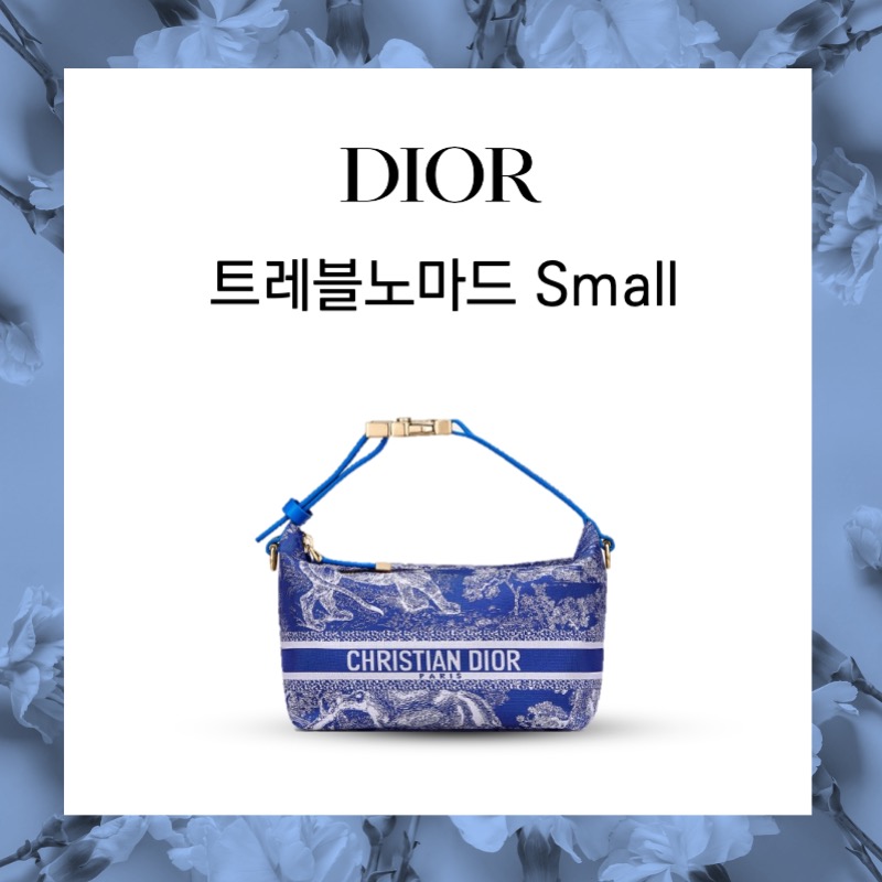 디올 트레블 노마드