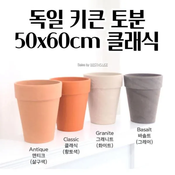 북유럽풍 인테리어 식물배치 톤맞추기 화분색감 관리 감성업_5