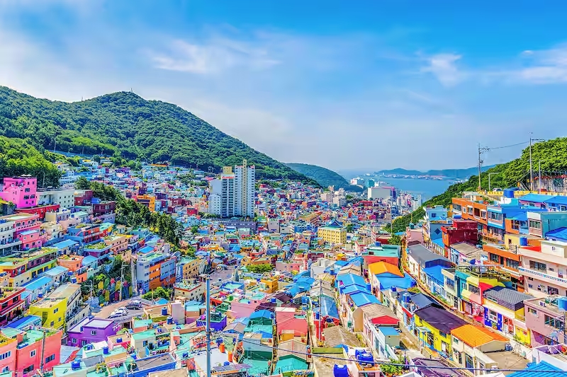 외국인들이 감천마을을 사랑하는 이유