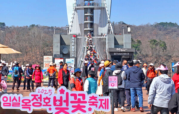 옥정호 벚꽃축제