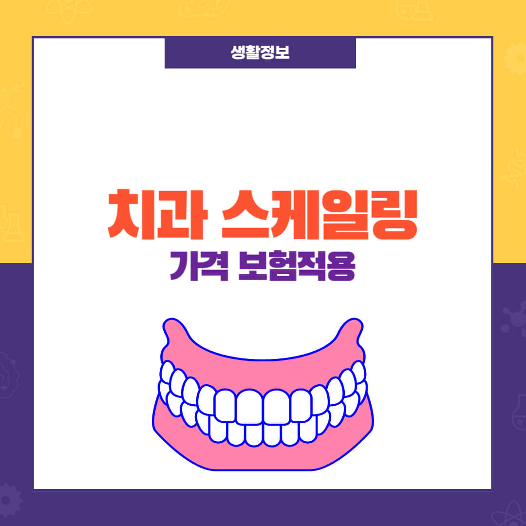 치과 스케일링 가격