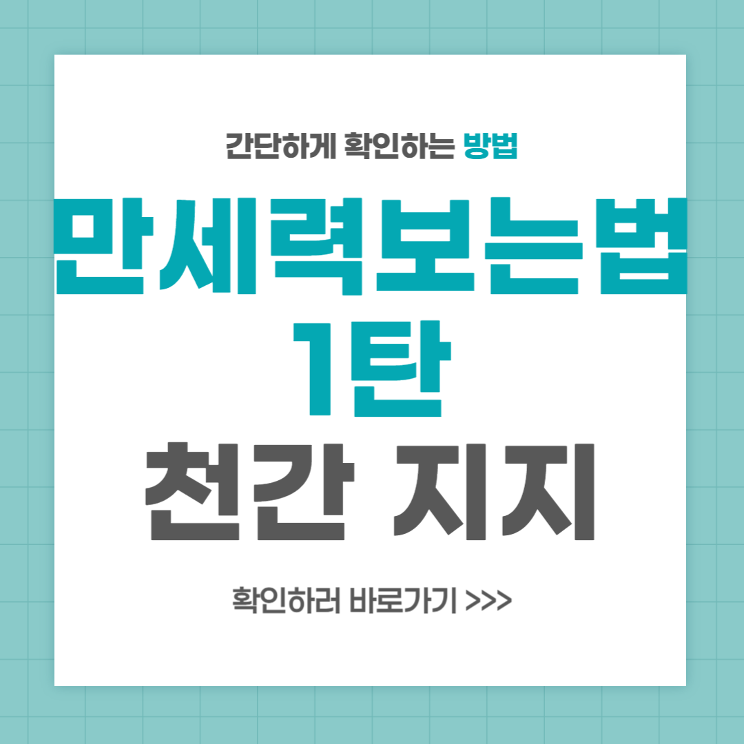 만세력 보는법