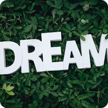 임신하는 꿈&amp;#44; 임신 꿈