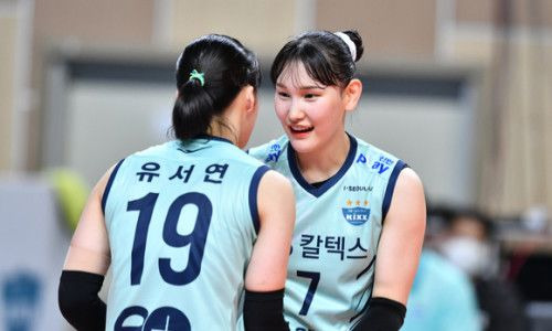 안혜진 나이 프로필 음주운전 징계 국가대표