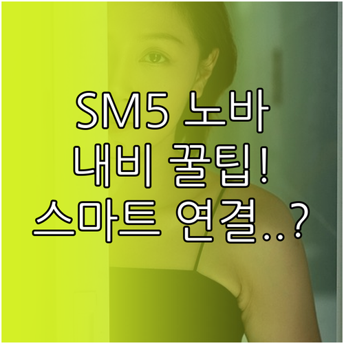 르노코리아 SM5 노바 내비게이션 스..