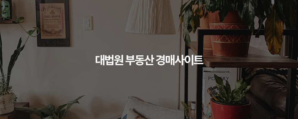 대법원 부동산 경매사이트