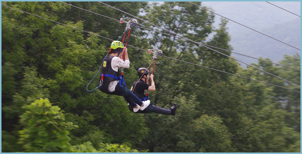 만천하-액티비티