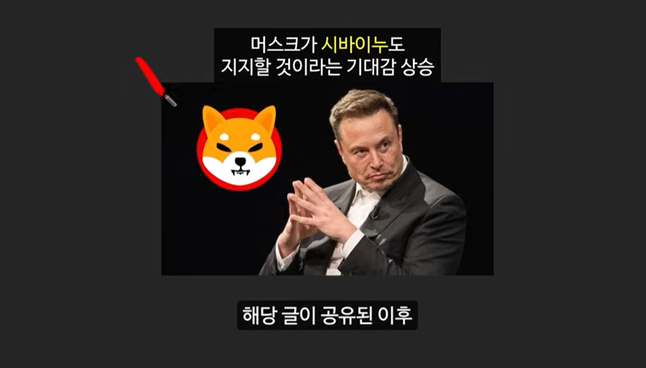 일론 머스크가 주목한 베이비 도지 코인, 급등 가능성은?