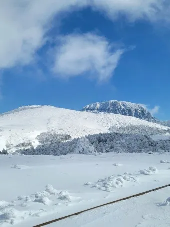 한라산 등반코스 쉬운코스 추천_15