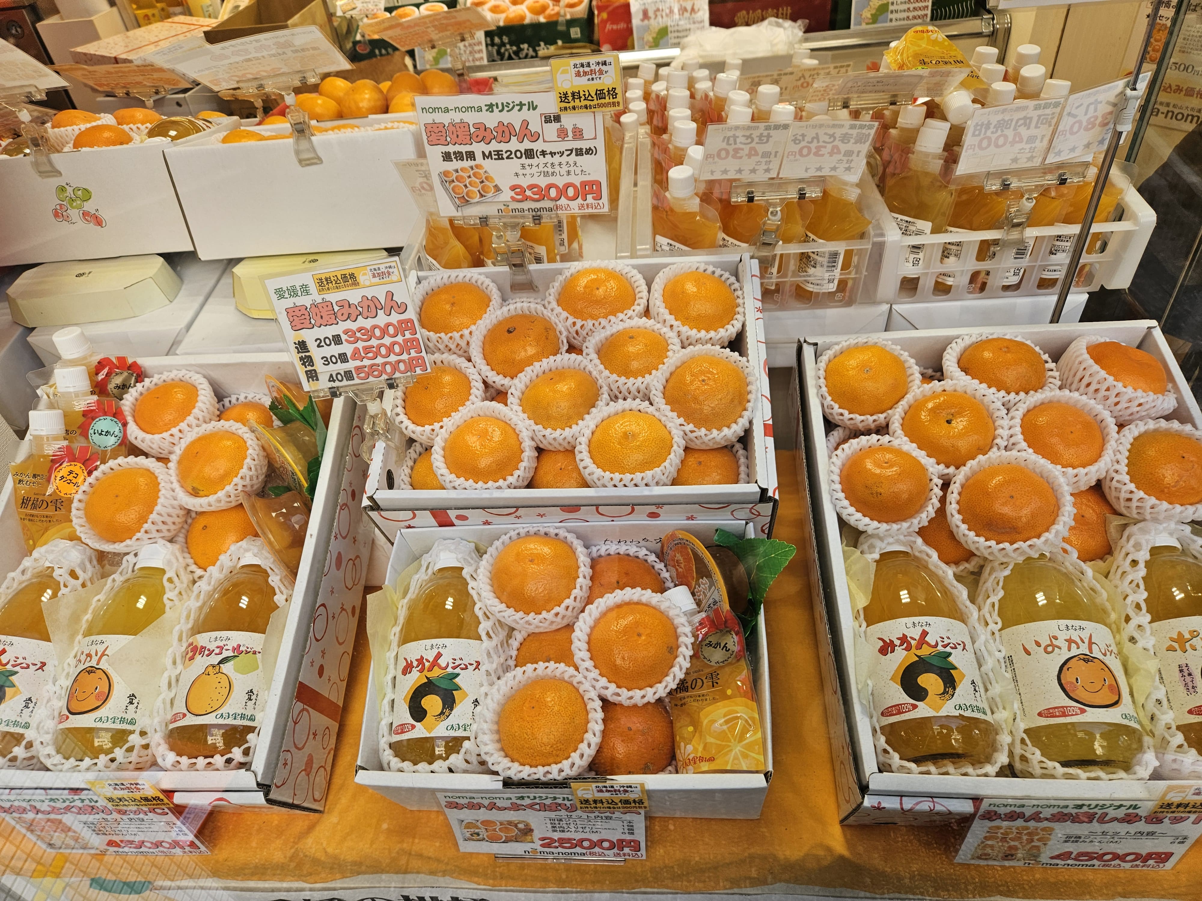 일본 소도시 마쓰야마에서 느낄 수 있는 조용한 여행지 분위기 사진