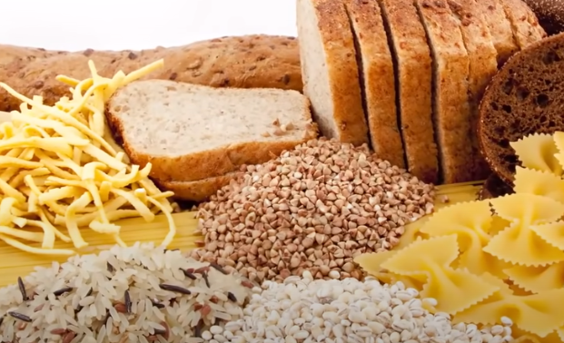 탄수화물과 곡류들