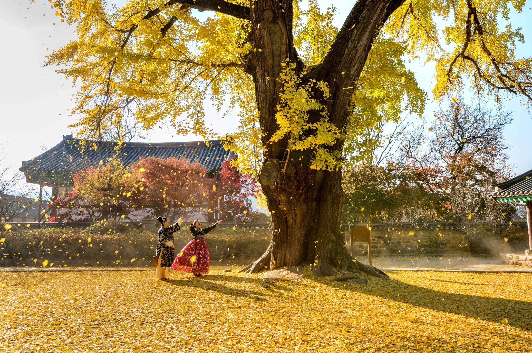 전주-한옥마을