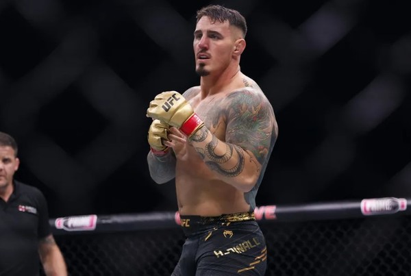 UFC 체급별 핫이슈 정리 (2025 경기, 선수, 판도) 관련사진