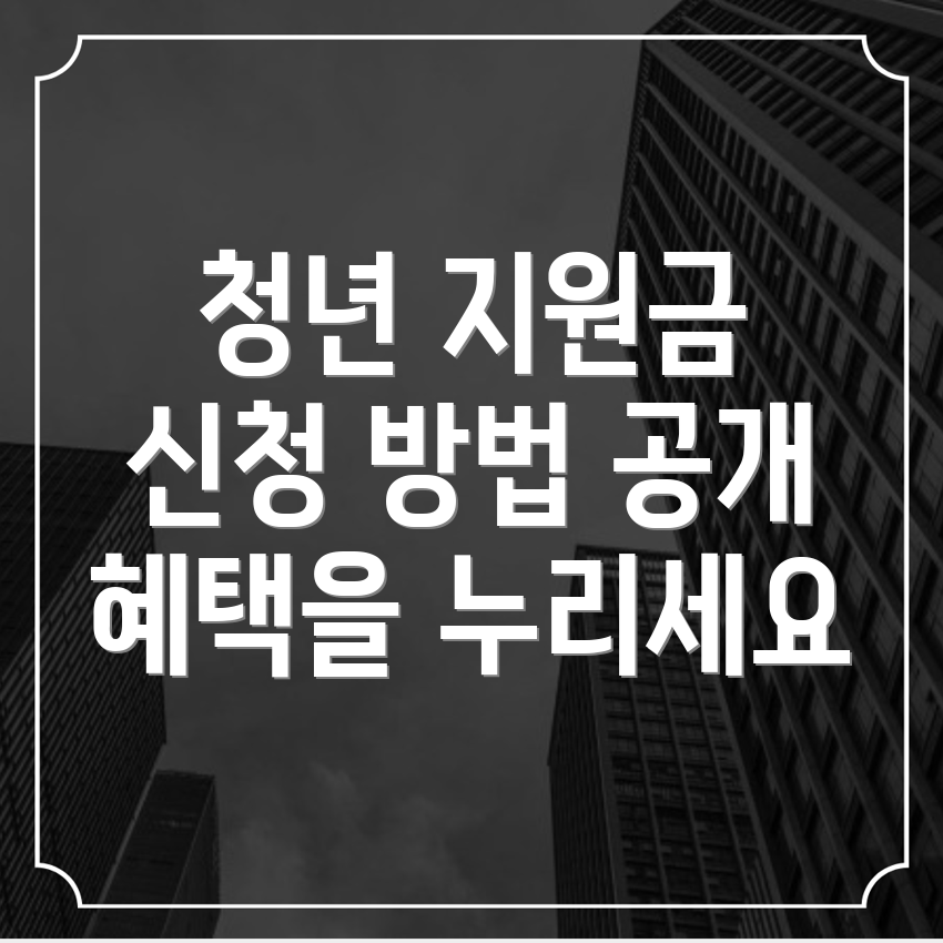 청년지원금