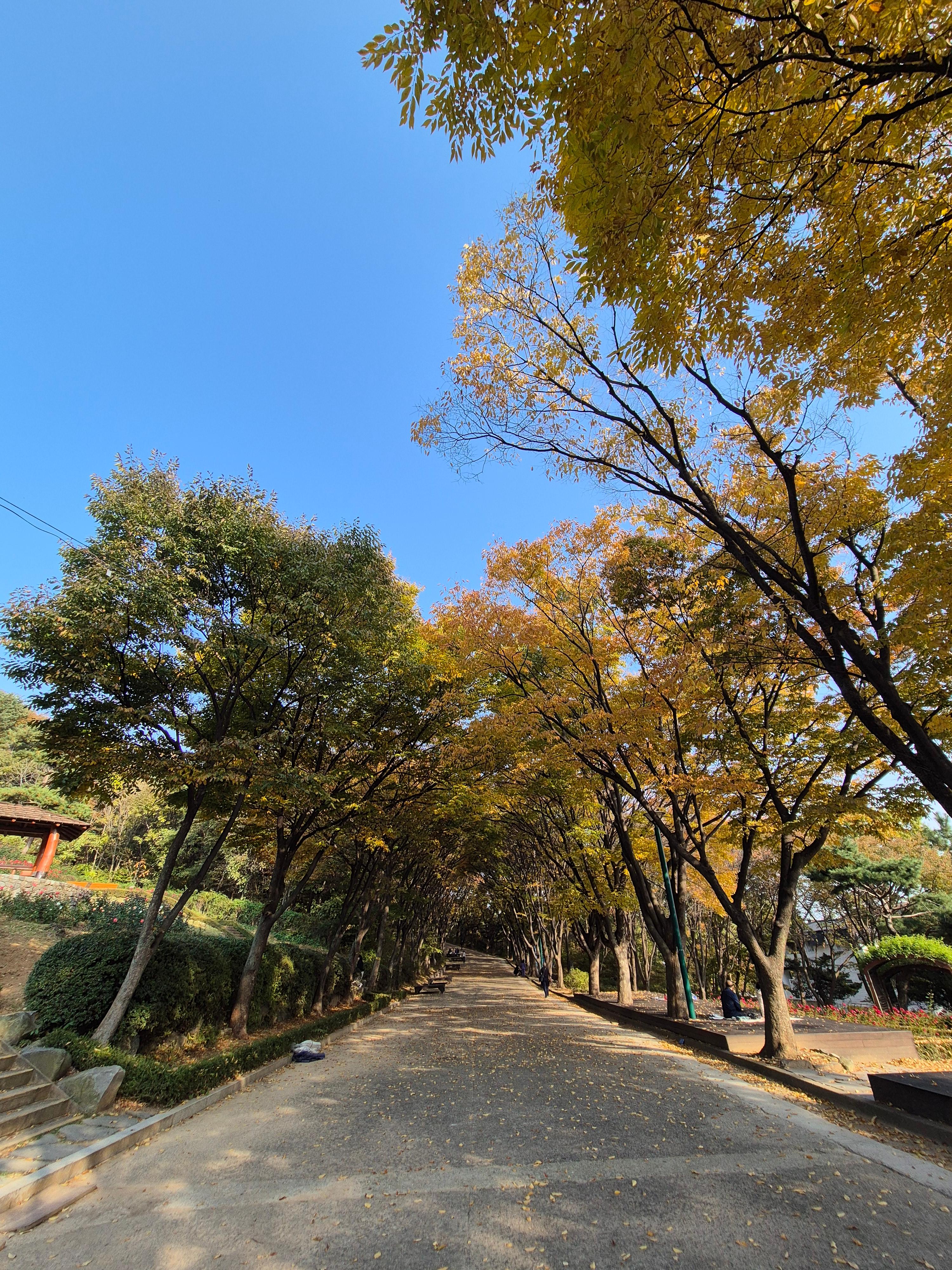 계양산 인천둘레길 내려오는 길