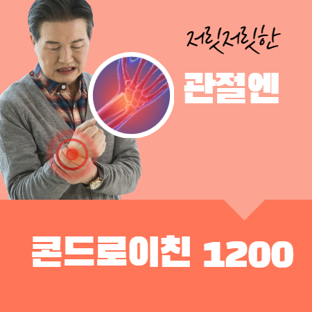 관절엔 콘드로이친 1200