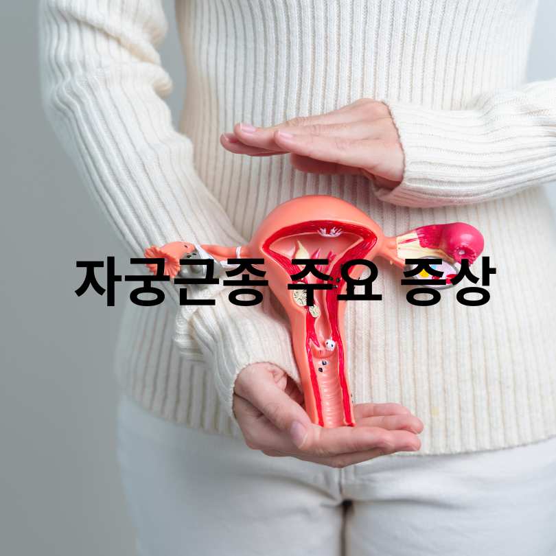  자궁근종 증상과 자궁근종에 좋은 영양제 