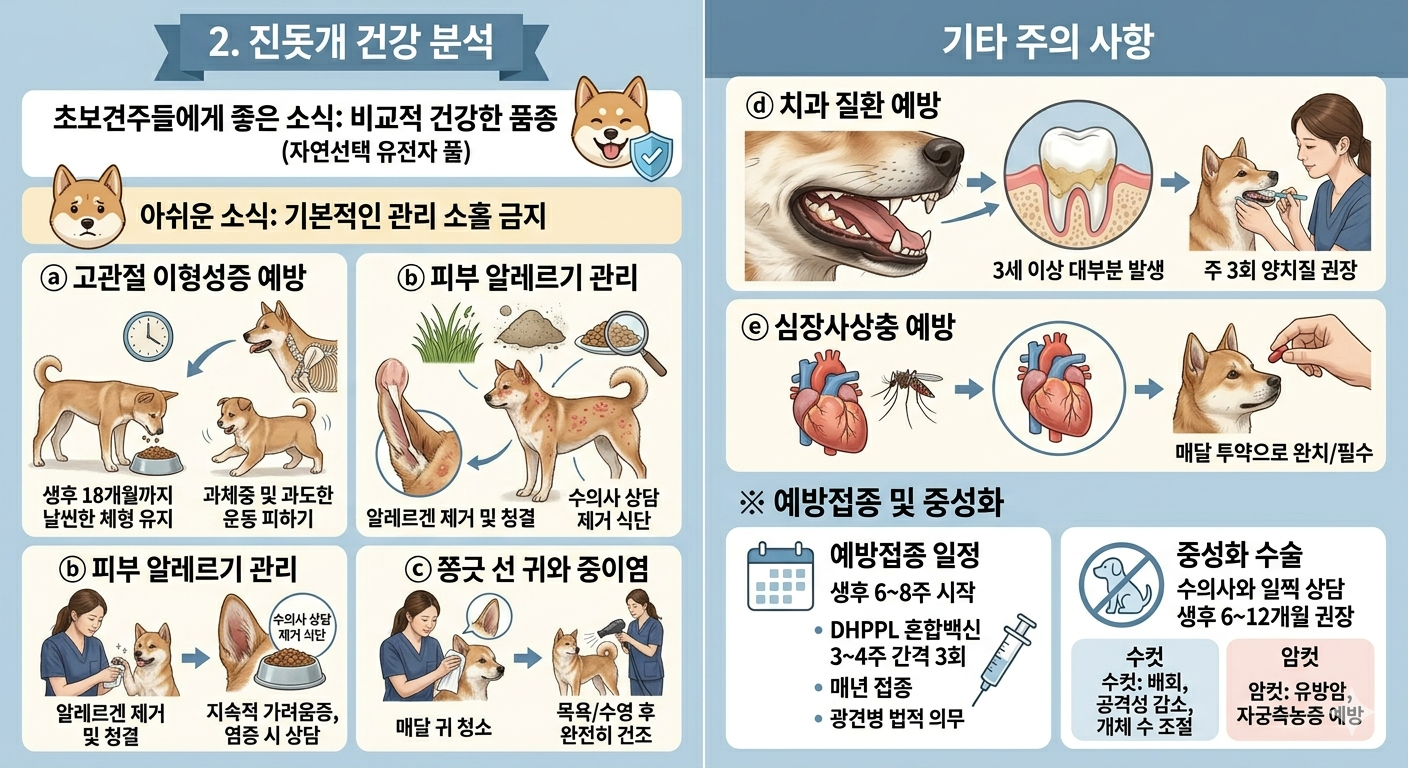 진돗개 건강분석 과 주의사항