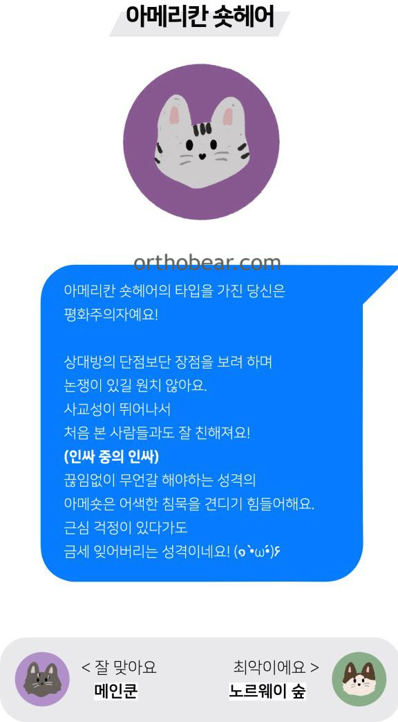 아메리칸 숏헤어 mbti