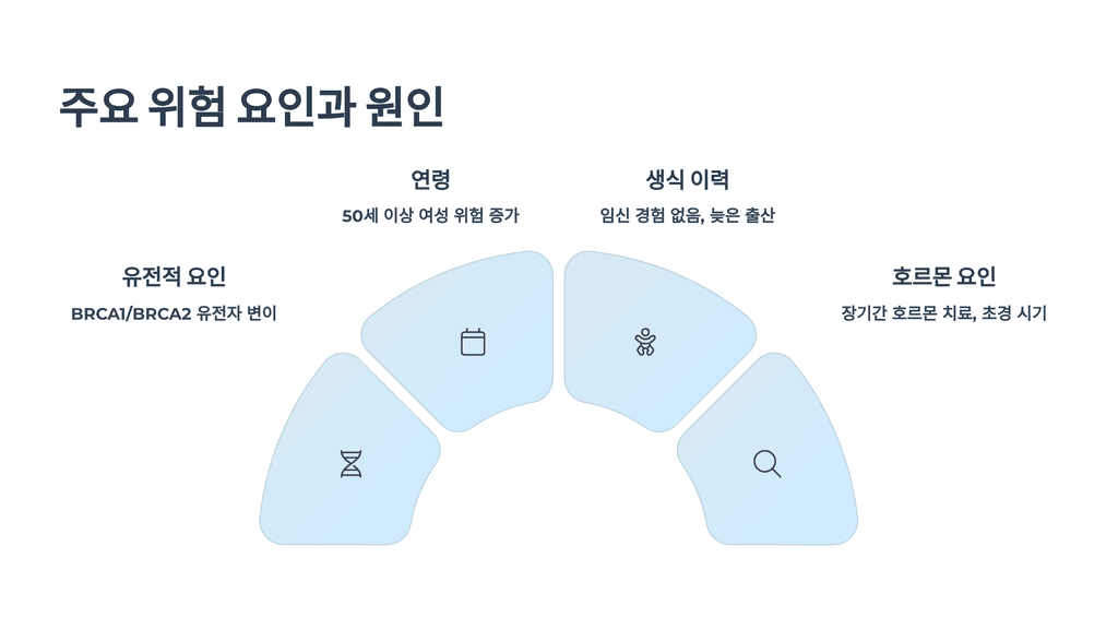 주요 위험 요인과 원인