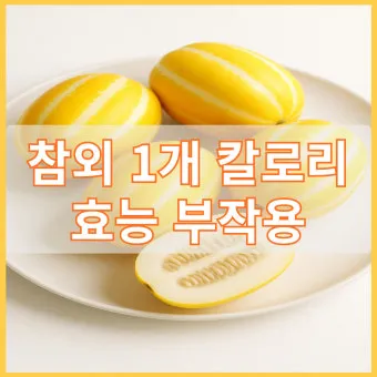 참외 1개 칼로리와 gi 혈당 지수 건강 관리 정보_11