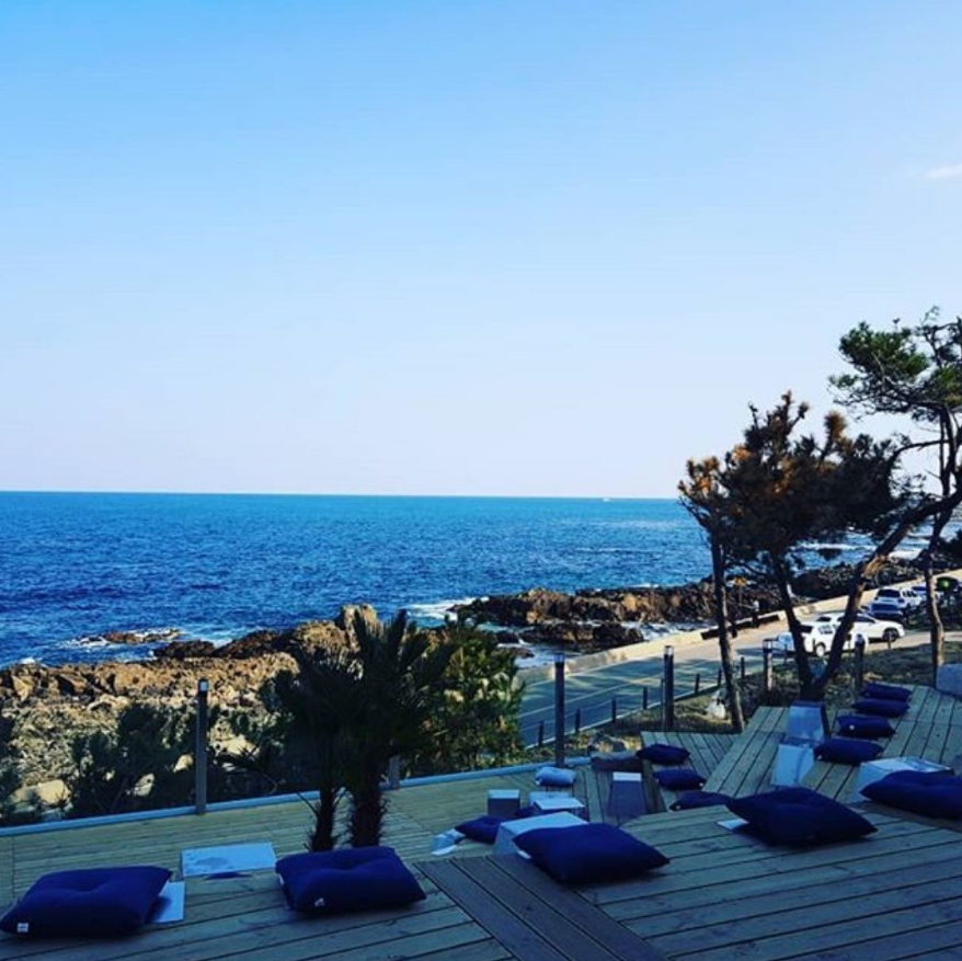 포항구룡포씨푸드축제-포항가볼만한 곳