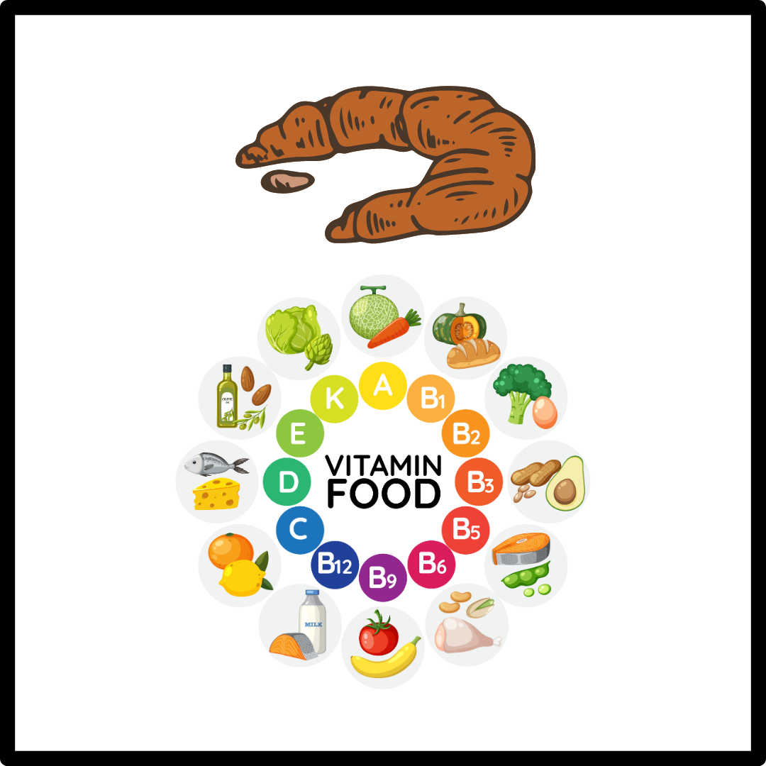 대변 색깔과 모양에 따른 건강 상태