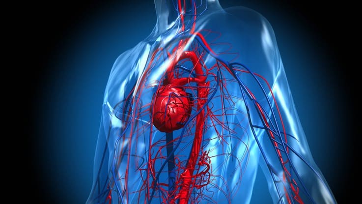 혈액순환개선제 효능, 부작용, 복용법, 연령별 추천 가이드