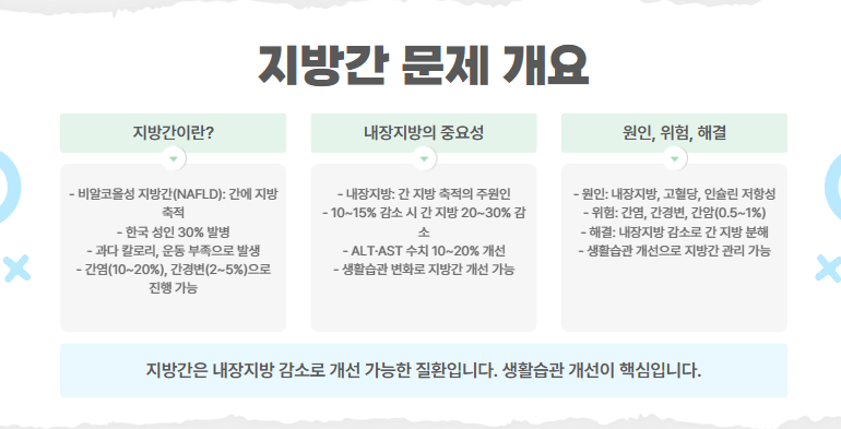 지방간 문제 개요