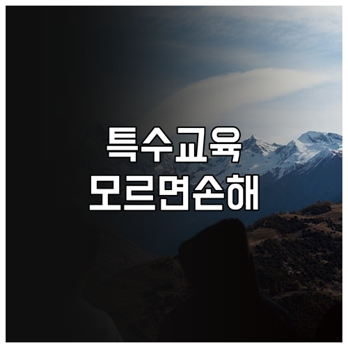 2025년 특수교육 대상 학생 지원:..
