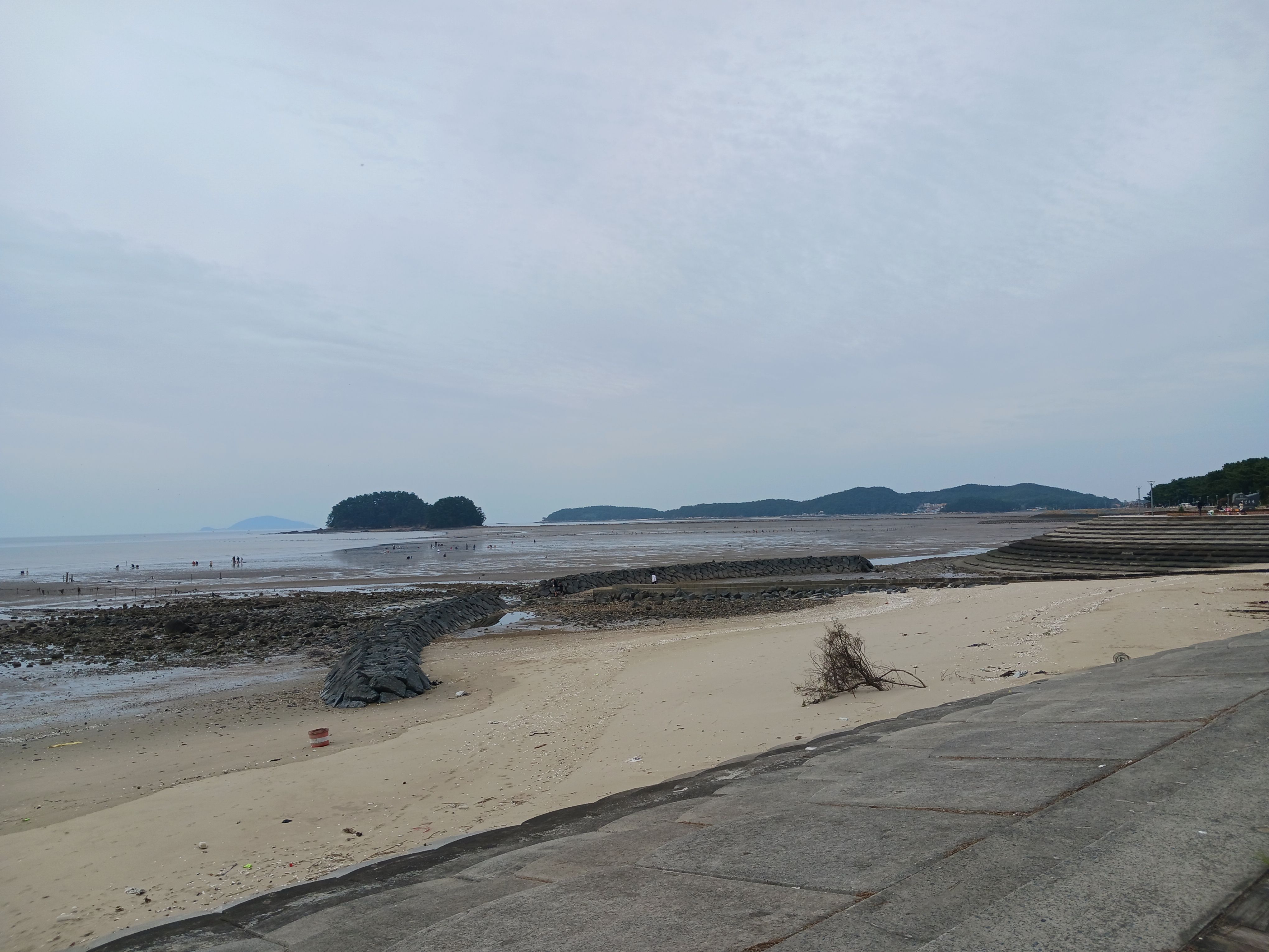 서천갯벌