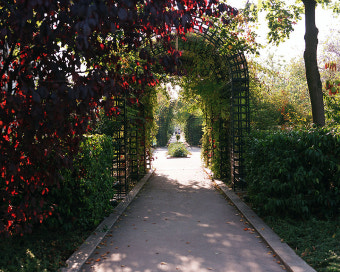 영화 《Before Sunset (2004)》 – 9년 만의 재회, 그 속에 깃든 사랑과 시간