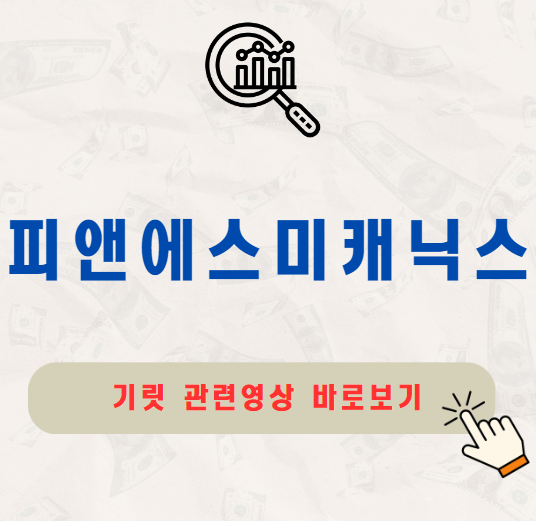 피앤에스미캐닉스