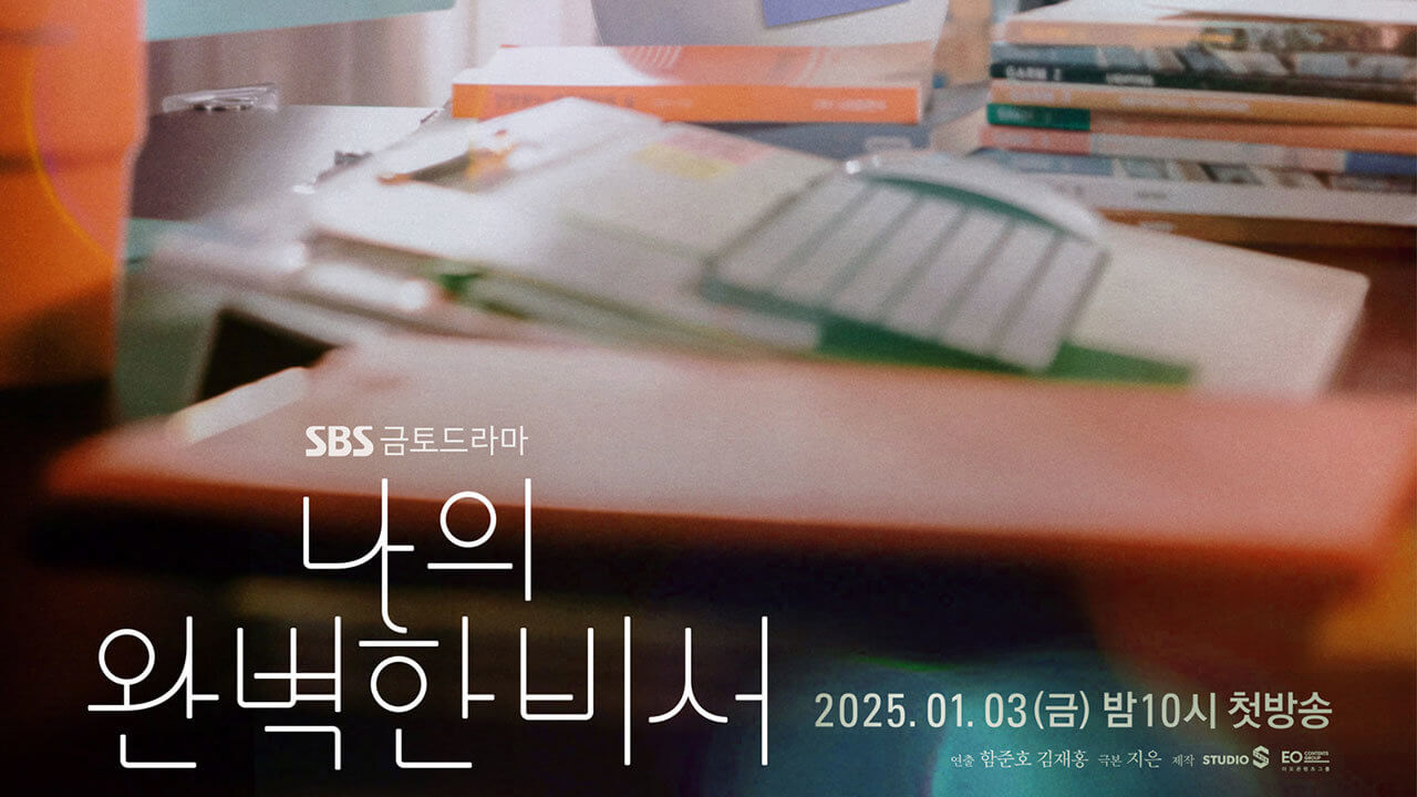 나의 완벽한 비서