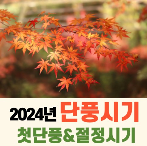단풍시기