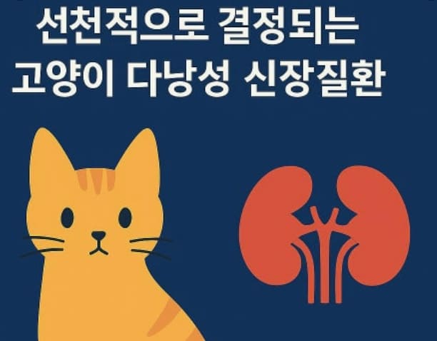 고양이 선천성 질환 가이드 관련 사진