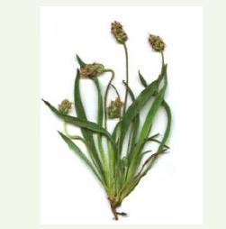 변비 해결방법 30