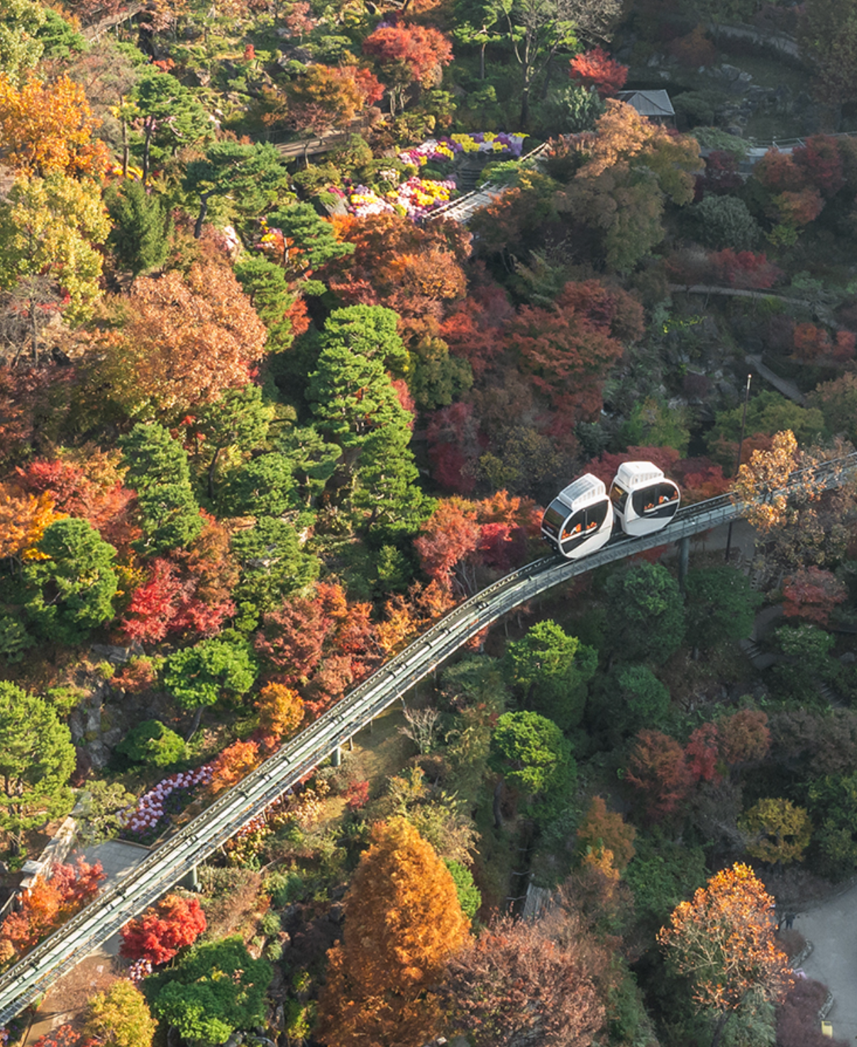 화담숲 가을 성수기 예약