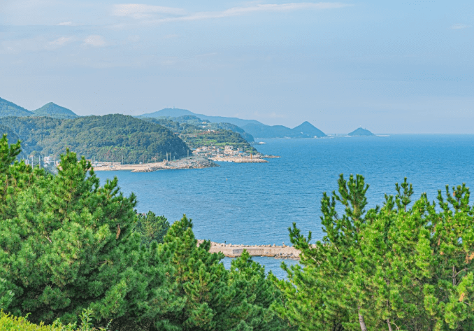 죽도섬