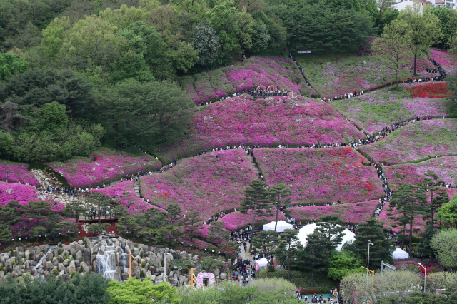 군포 철쭉 축제