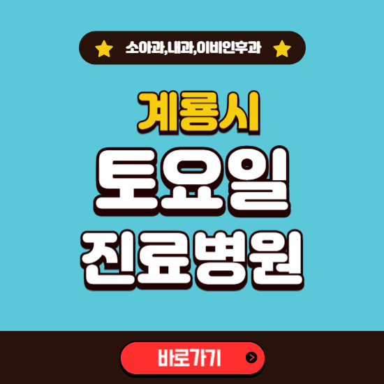 계룡시 토요일 진료 병원 찾기 ❘ 주말 문여는 소아과, 내과, 이비인후과 리스트