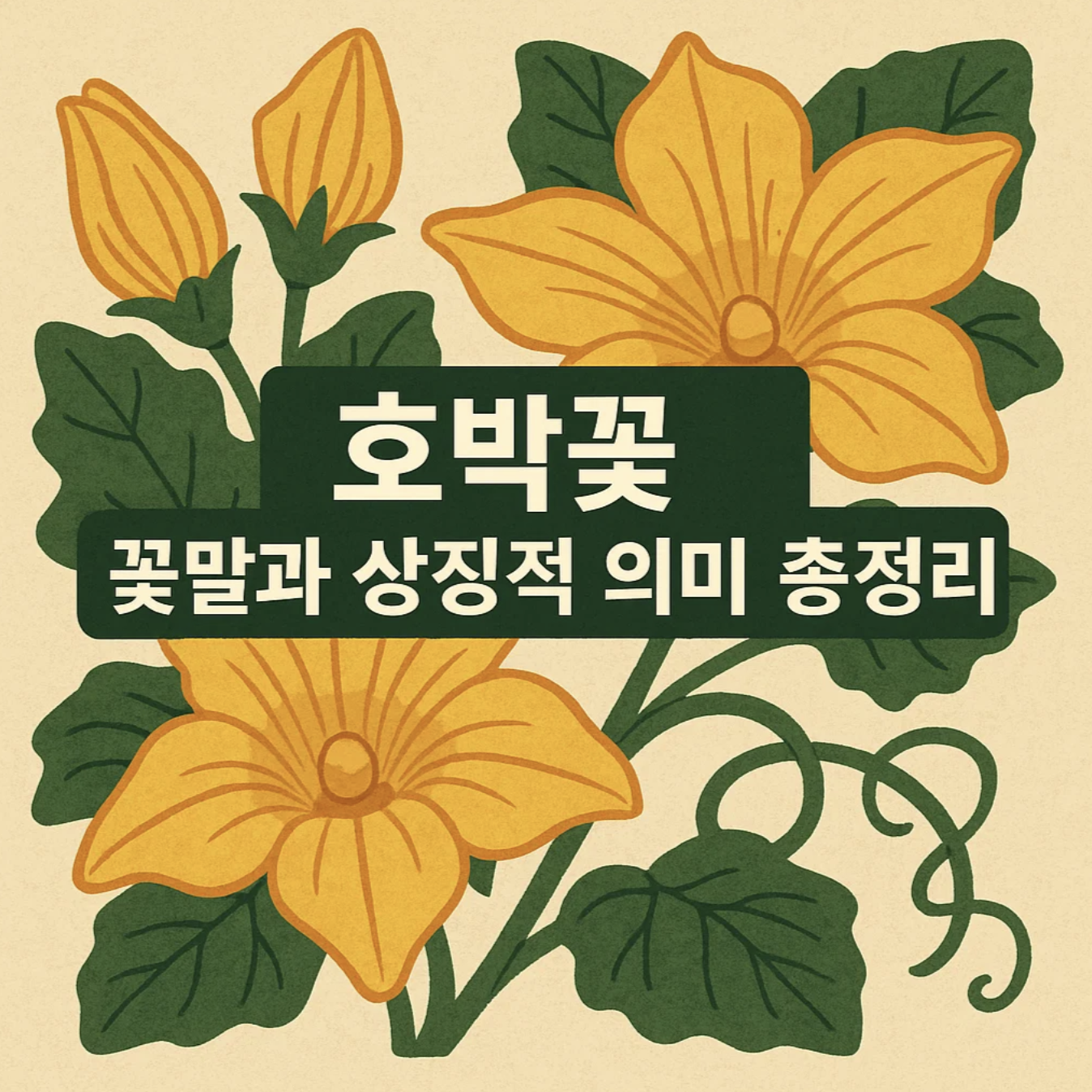 호박꽃 꽃말과 상징적 의미 총정리
