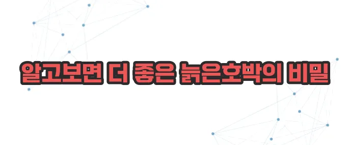 늙은호박 효능 이보다 자세히 설명할순없다