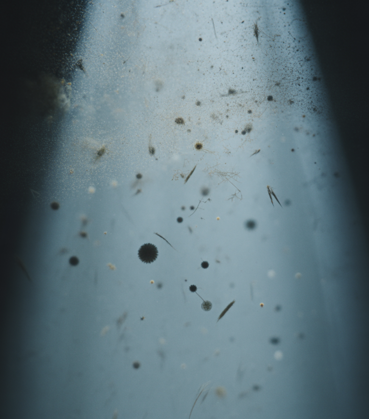 '입자'의 크기가 모든 것을 결정한다