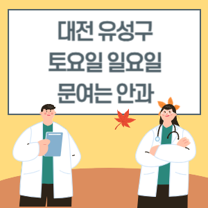 대전 유성구 토요일 일요일 안과 진료 병원 리스트