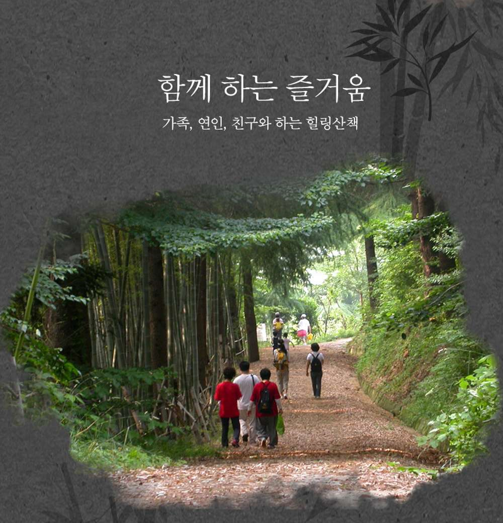 모든생명의근원 아홉산숲