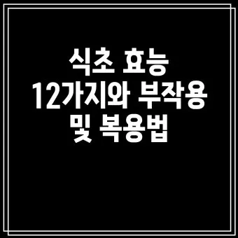 식초 복용법 정리 위장에 미치는 영향 총정리_3