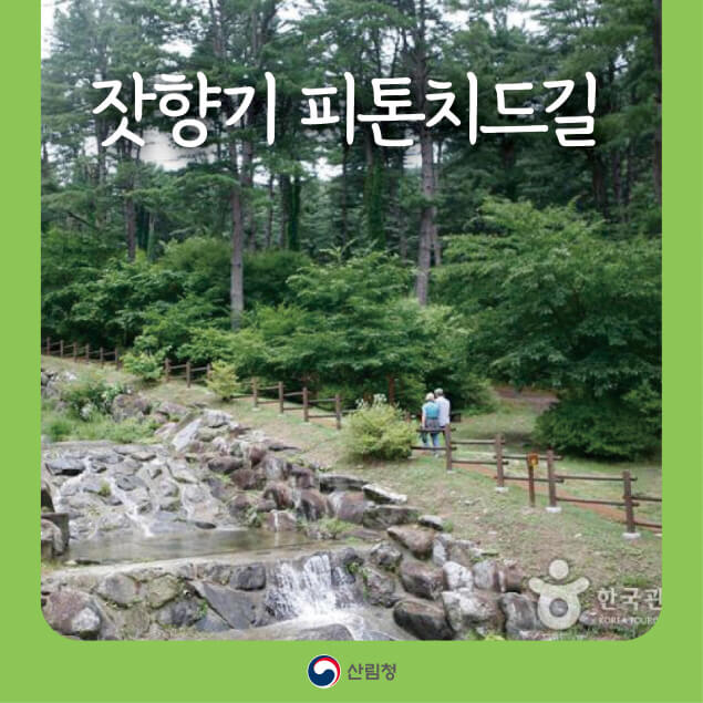 가평 &lsquo;잣향기 피톤치드길&rsquo; 탐방 가이드