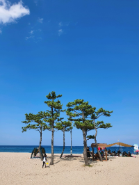 강릉 가볼만한 곳 주문진해수욕장